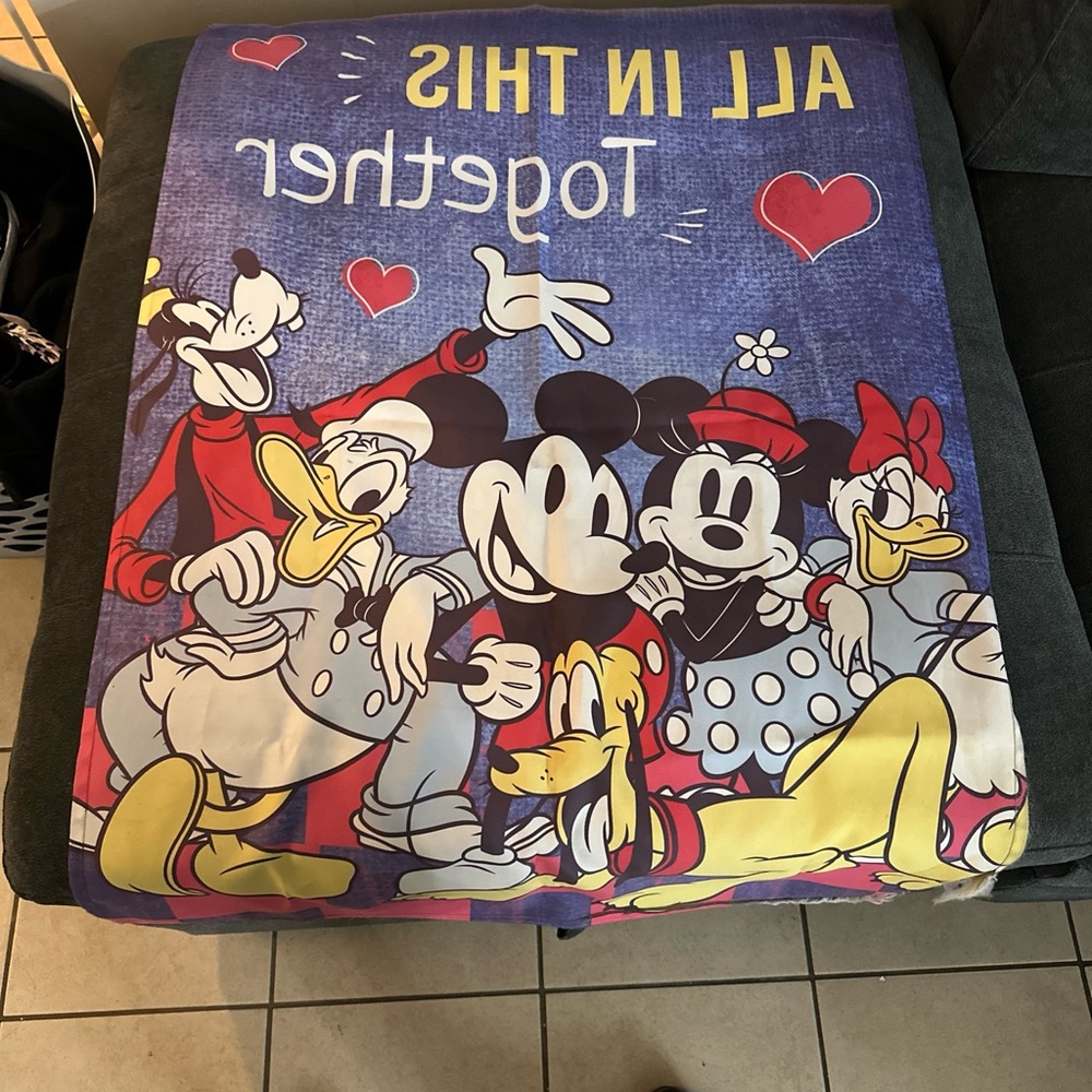 Disney flag pole flag